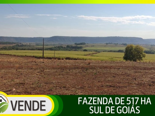 FAZENDA DE 517 HA EM GOIÁS