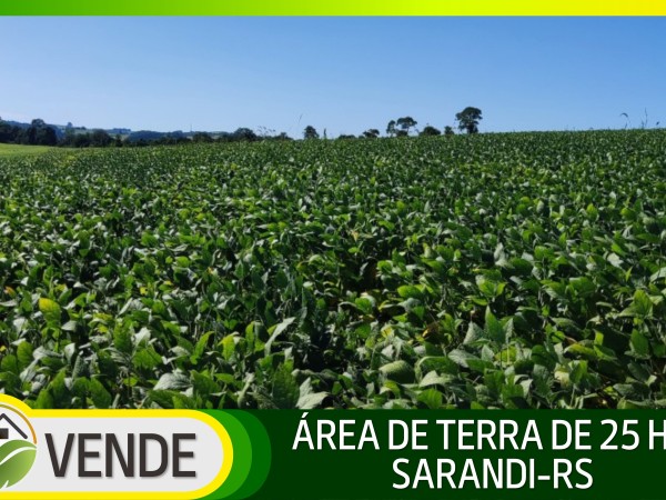 ÁREA DE TERRA DE 25 HA NO RS