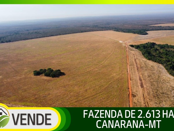 FAZENDA DE 2.613 HA COM 7 ANOS PARA PAGAR