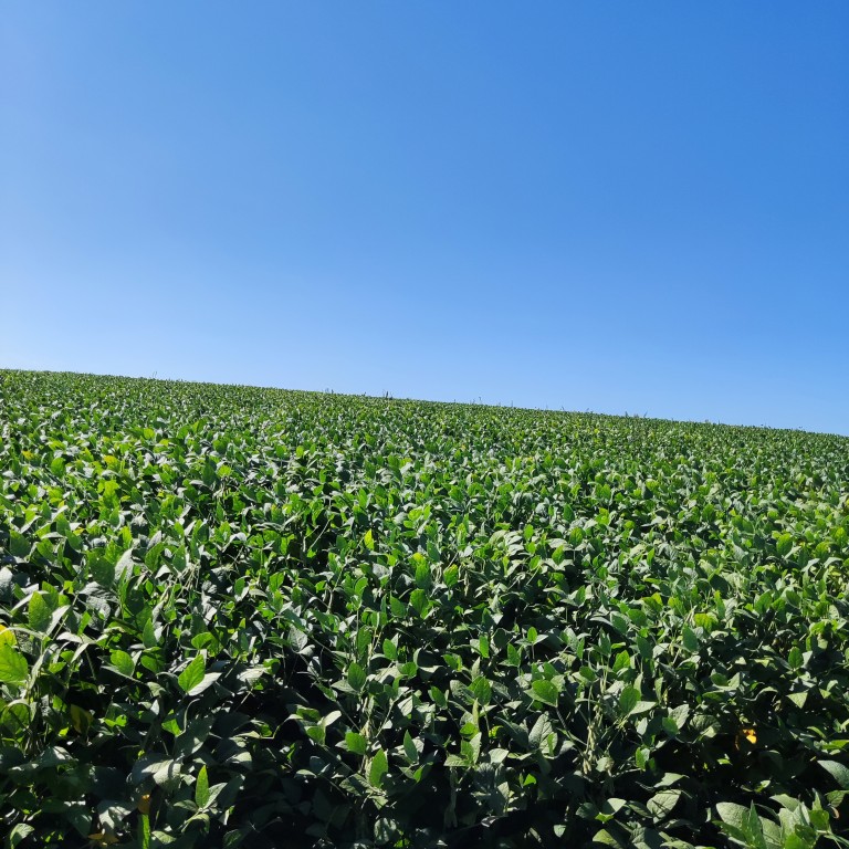 ÁREA DE TERRA DE 25 HA NO RS