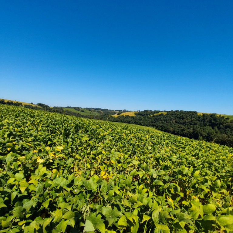 ÁREA DE TERRA DE 25 HA NO RS