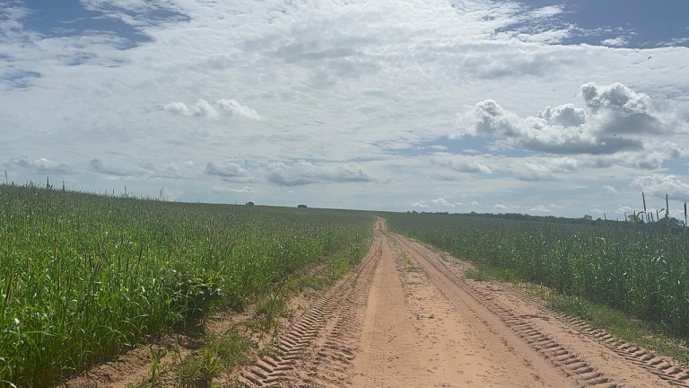 FAZENDA DE 2.613 HA COM 7 ANOS PARA PAGAR