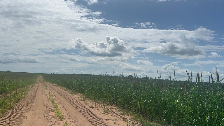 FAZENDA DE 2.613 HA COM 7 ANOS PARA PAGAR