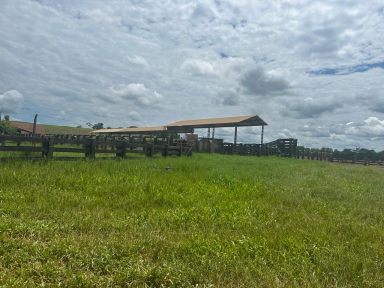 FAZENDA DE 2.613 HA COM 7 ANOS PARA PAGAR