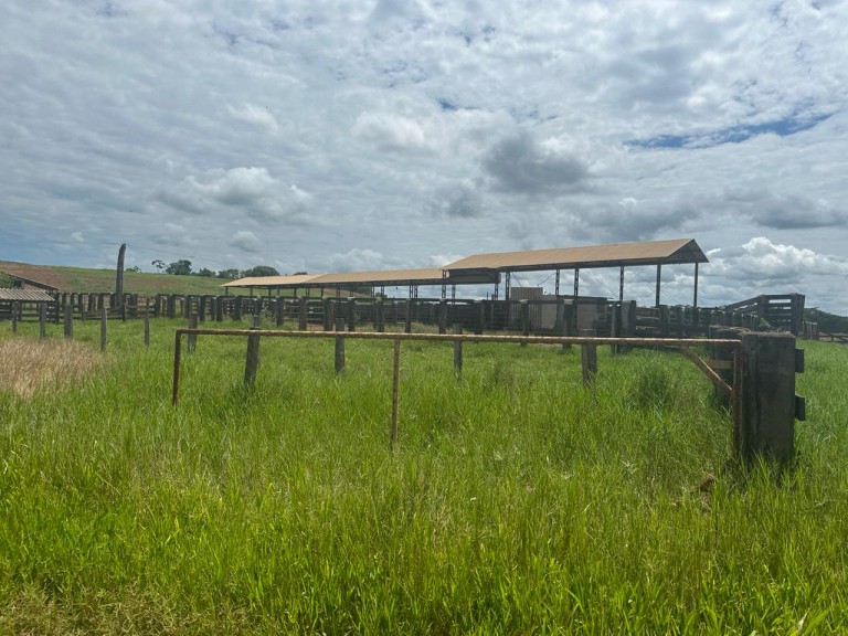 FAZENDA DE 2.613 HA COM 7 ANOS PARA PAGAR