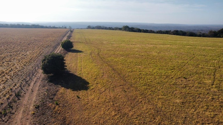 FAZENDA DE 2.613 HA COM 7 ANOS PARA PAGAR