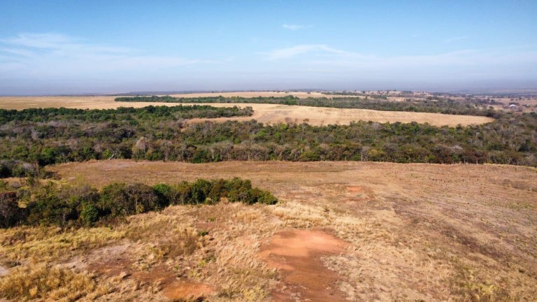 FAZENDA DE 2.613 HA COM 7 ANOS PARA PAGAR