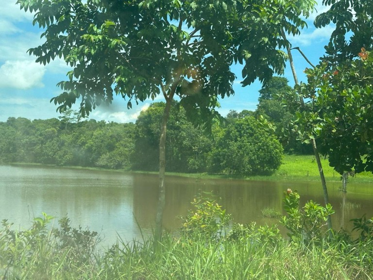 FAZENDA DE 2.613 HA COM 7 ANOS PARA PAGAR