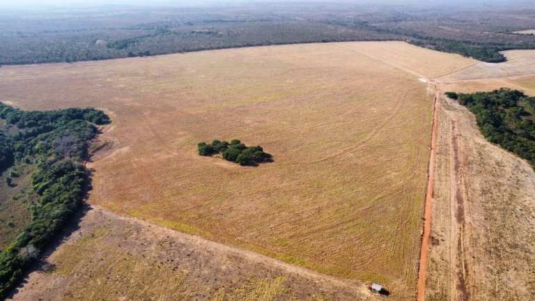 FAZENDA DE 2.613 HA COM 7 ANOS PARA PAGAR