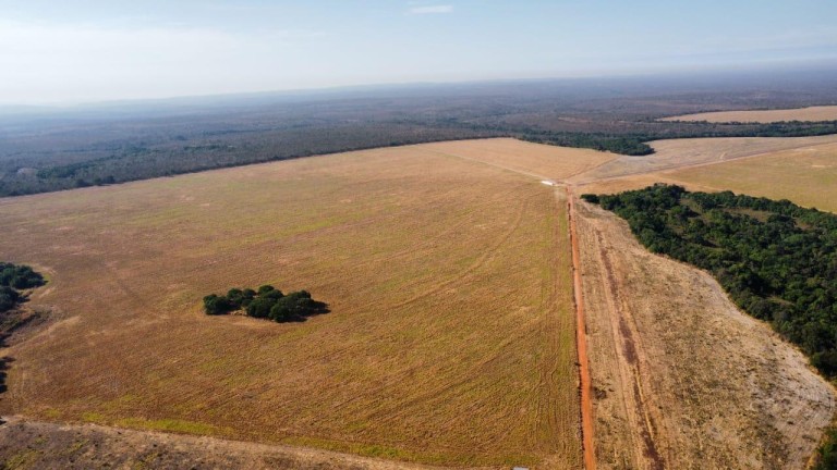 FAZENDA DE 2.613 HA COM 7 ANOS PARA PAGAR