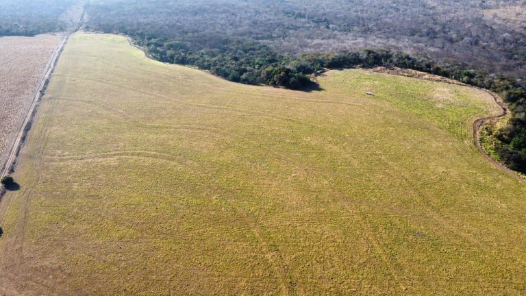 FAZENDA DE 2.613 HA COM 7 ANOS PARA PAGAR