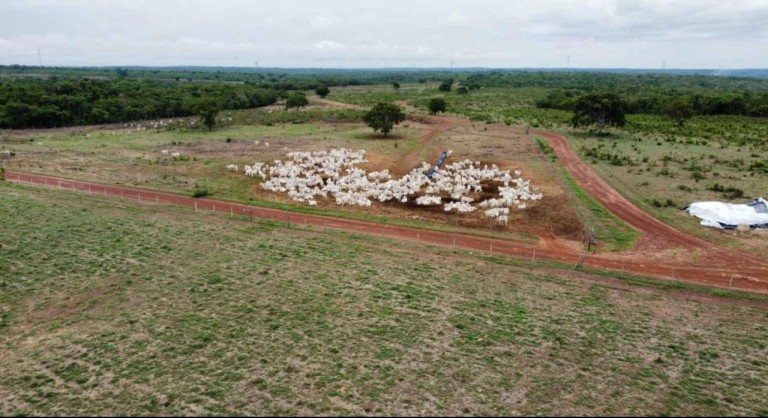 FAZENDA DE 524 ALQUEIRES COM MAIS DE 10 ANOS PARA PAGAR