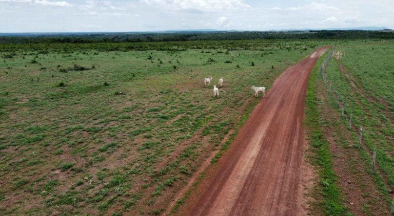 FAZENDA DE 524 ALQUEIRES COM MAIS DE 10 ANOS PARA PAGAR