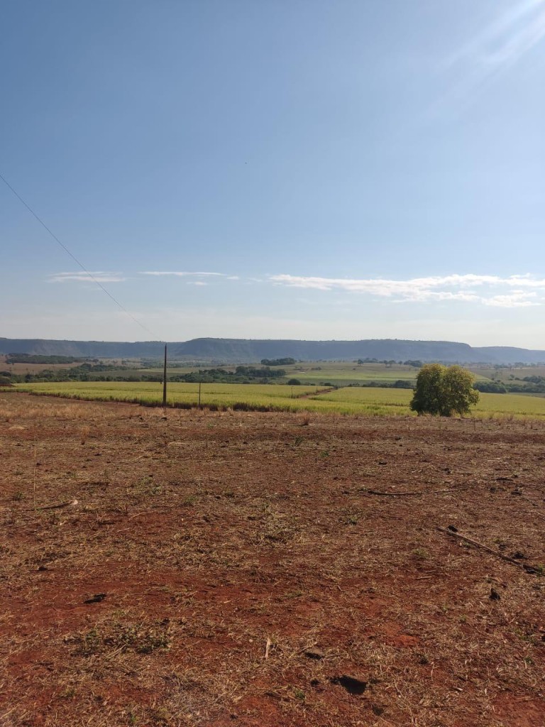 FAZENDA DE 517 HA EM GOIÁS