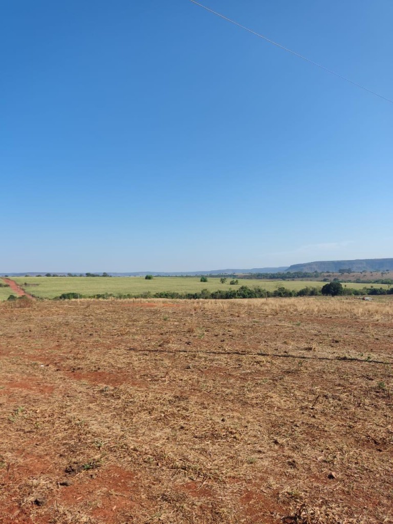 FAZENDA DE 517 HA EM GOIÁS