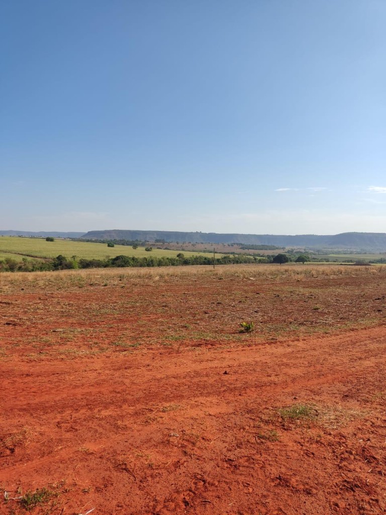 FAZENDA DE 517 HA EM GOIÁS