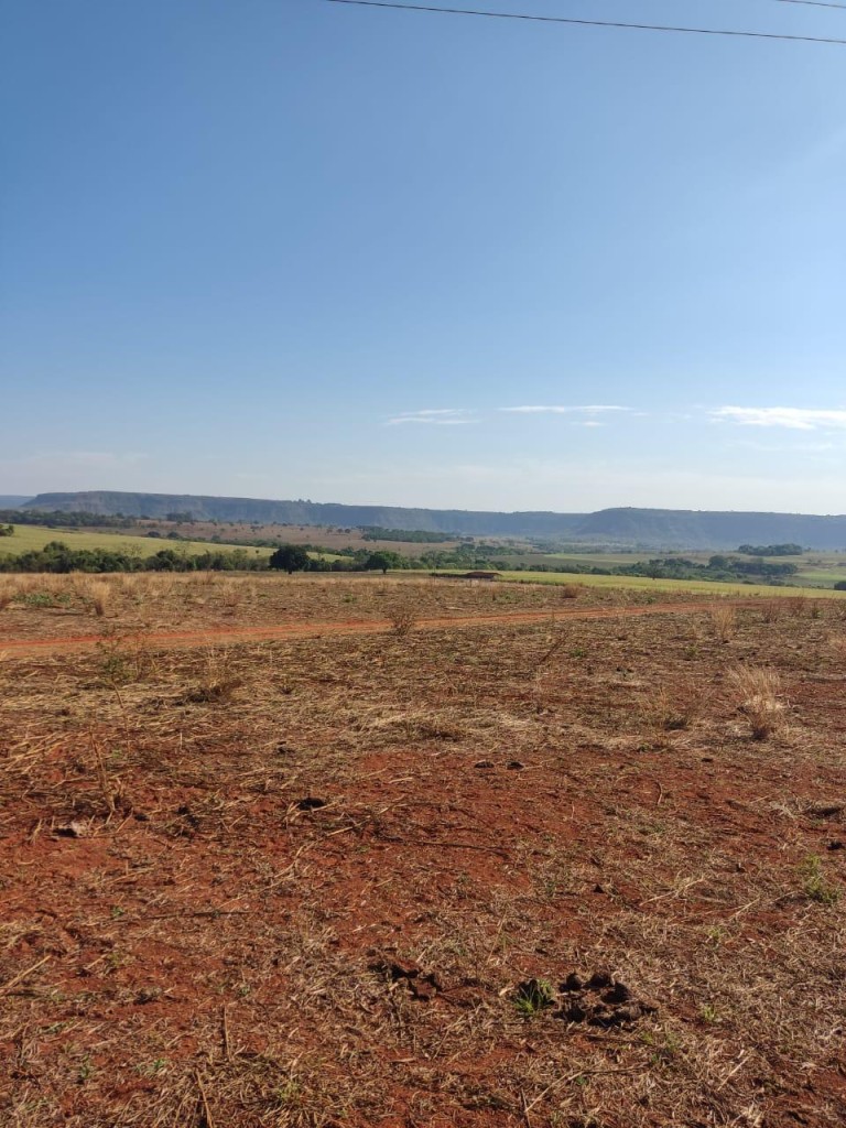 FAZENDA DE 517 HA EM GOIÁS