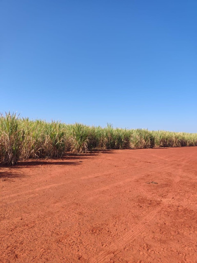 FAZENDA DE 517 HA EM GOIÁS