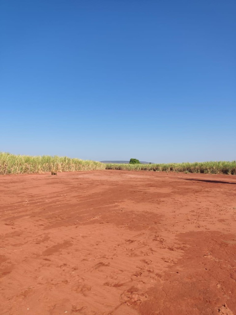 FAZENDA DE 517 HA EM GOIÁS
