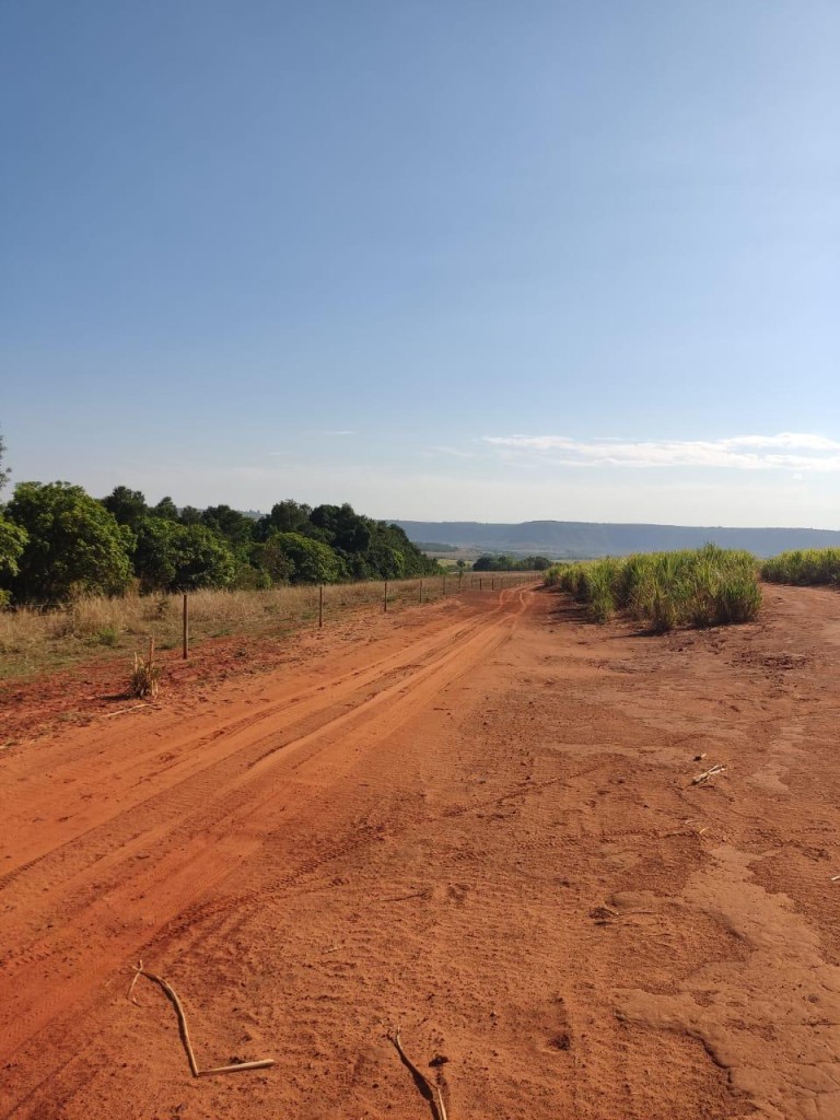 FAZENDA DE 517 HA EM GOIÁS
