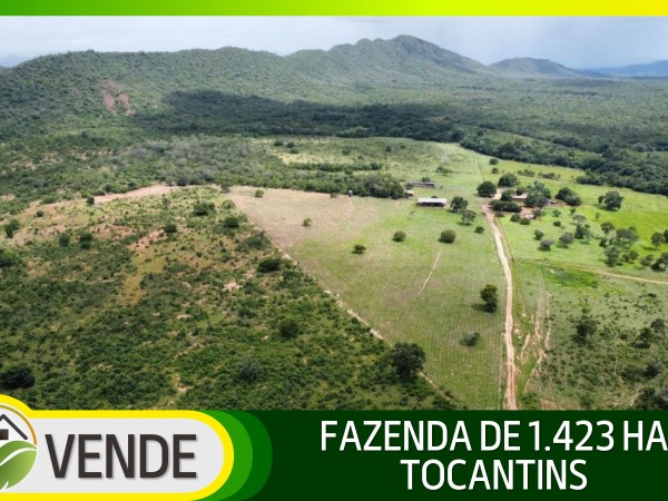 FAZENDA DE 1.423 HA NO TOCANTINS