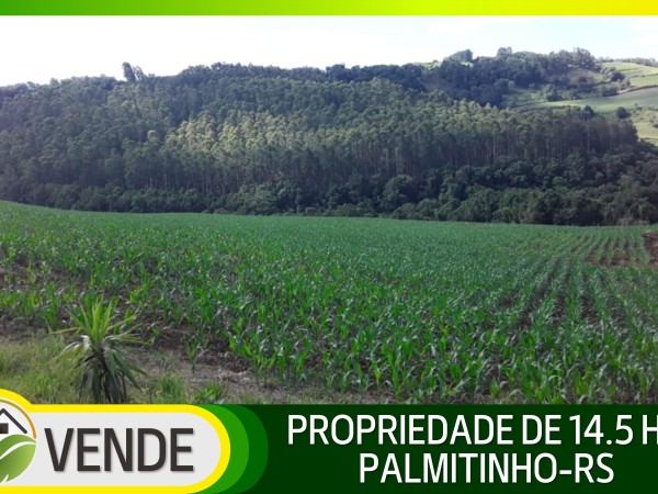 PROPRIEDADE DE 14.5 HA NO RS