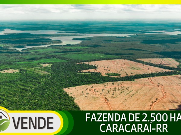 R$ 2.000,00 POR HA! FAZENDA DE 2.500 HA EM RORAIMA