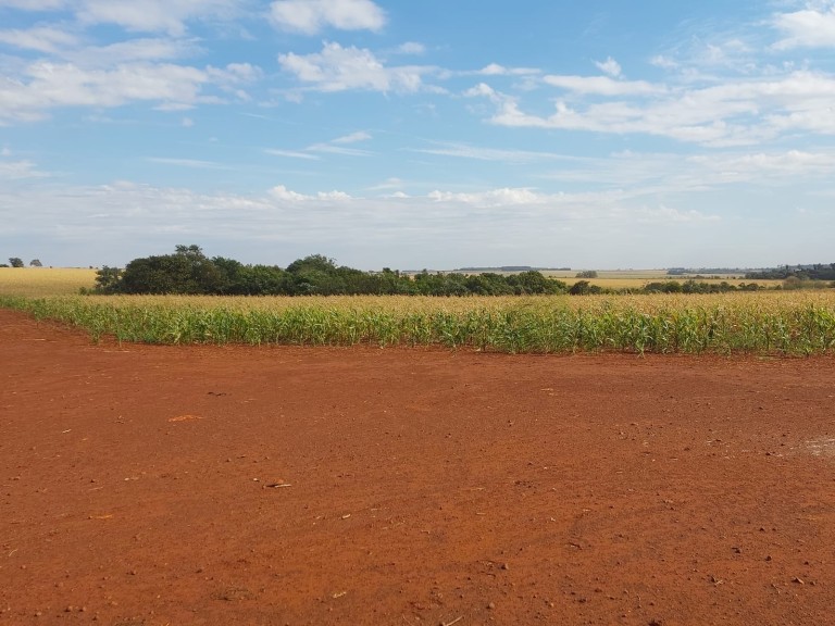 FAZENDA DE 100 ALQUEIRES NO MATO GROSSO DO SUL
