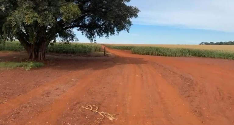 FAZENDA DE 100 ALQUEIRES NO MATO GROSSO DO SUL