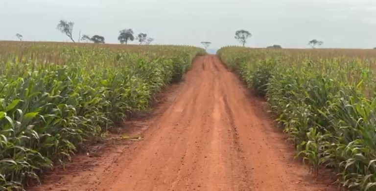 FAZENDA DE 100 ALQUEIRES NO MATO GROSSO DO SUL