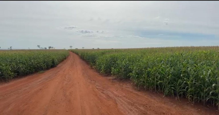FAZENDA DE 100 ALQUEIRES NO MATO GROSSO DO SUL