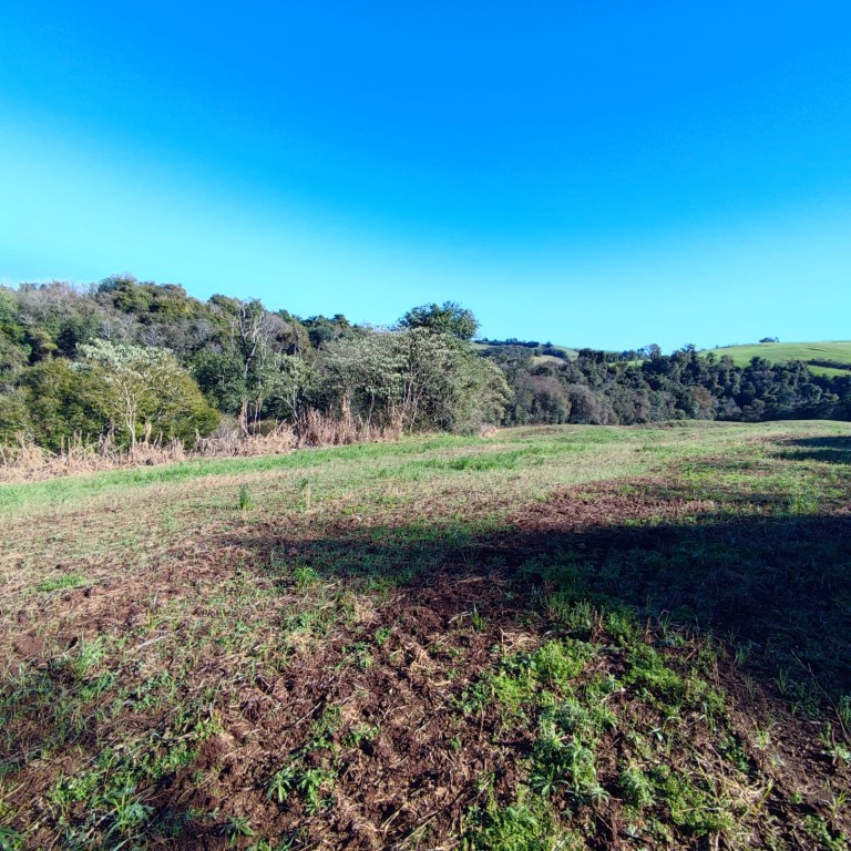 ÁREA DE TERRA DE 7.7 HA NO RS