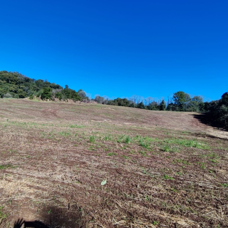 ÁREA DE TERRA DE 7.7 HA NO RS