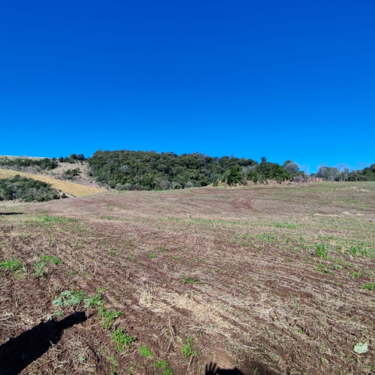 ÁREA DE TERRA DE 7.7 HA NO RS