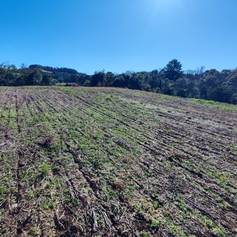 ÁREA DE TERRA DE 7.7 HA NO RS