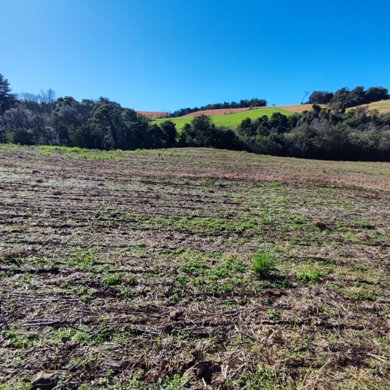 ÁREA DE TERRA DE 7.7 HA NO RS