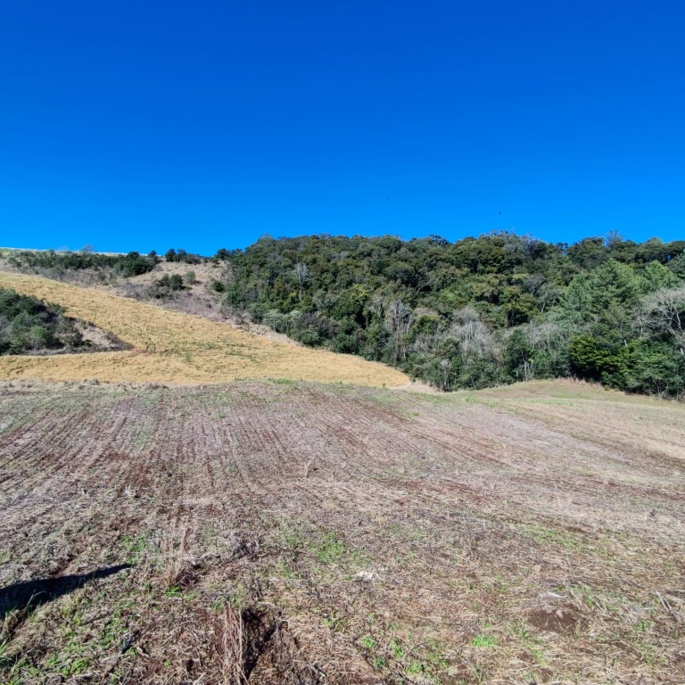 ÁREA DE TERRA DE 7.7 HA NO RS