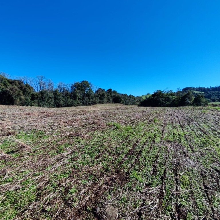 ÁREA DE TERRA DE 7.7 HA NO RS