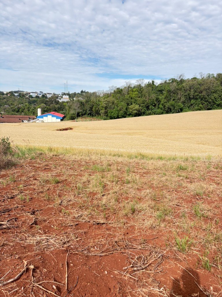 TERRENO DE 317 M² EM CONSTANTINA-RS