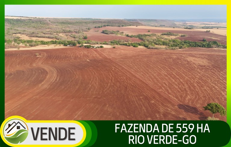 FAZENDA DE 559 HA EM GOIÁS