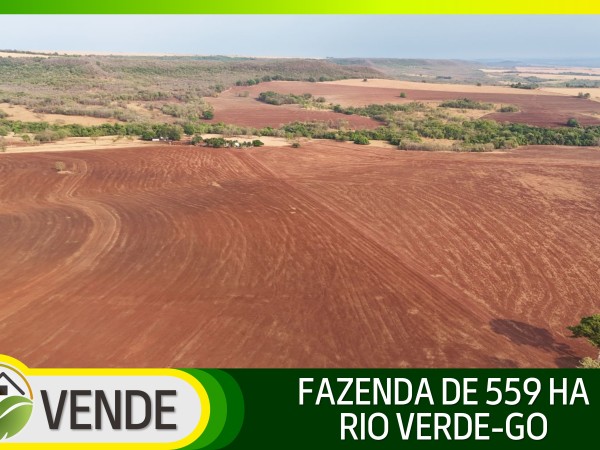 FAZENDA DE 559 HA EM GOIÁS