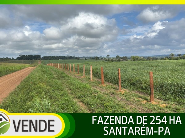 FAZENDA DE 254 HA NO PARÁ