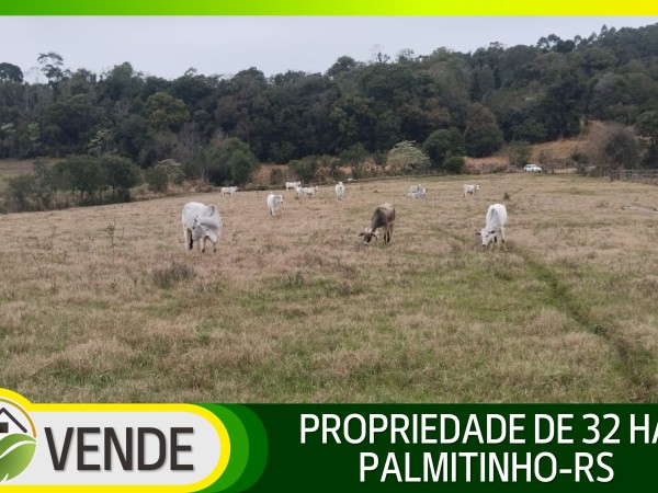 PROPRIEDADE DE 32 HA NO RS