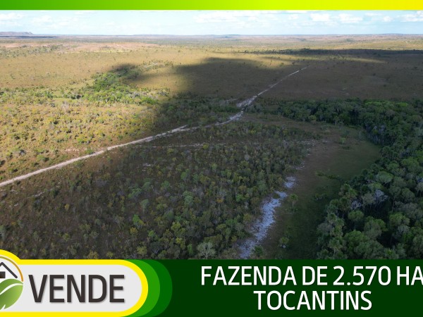 FAZENDA DE 2.570 HA POR R$ 6.000,00 POR HA
