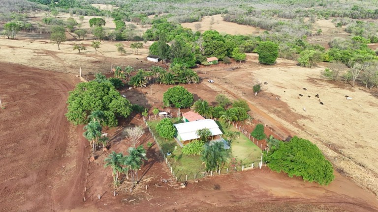 FAZENDA DE 559 HA EM GOIÁS