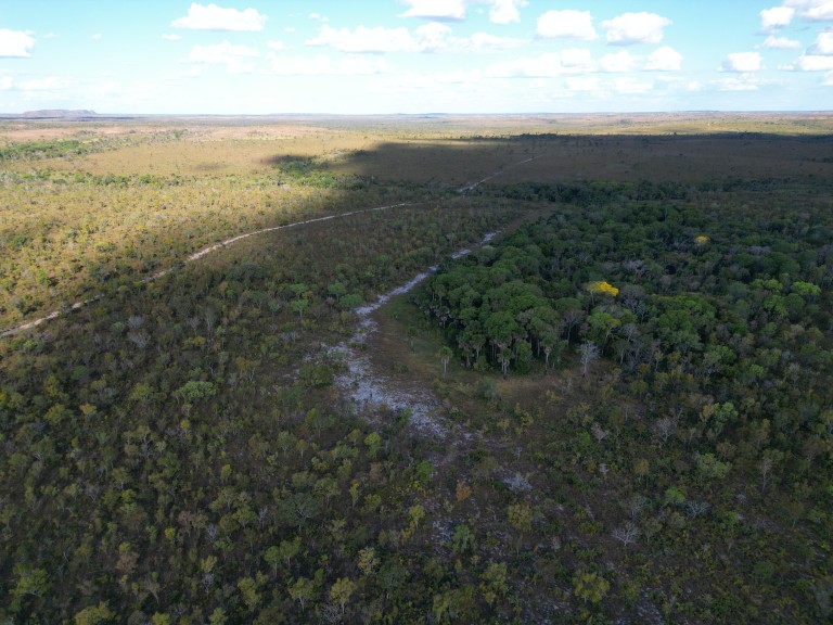 FAZENDA DE 2.570 HA POR R$ 6.000,00 POR HA