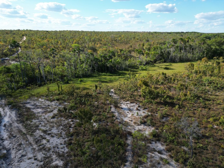 FAZENDA DE 2.570 HA POR R$ 6.000,00 POR HA