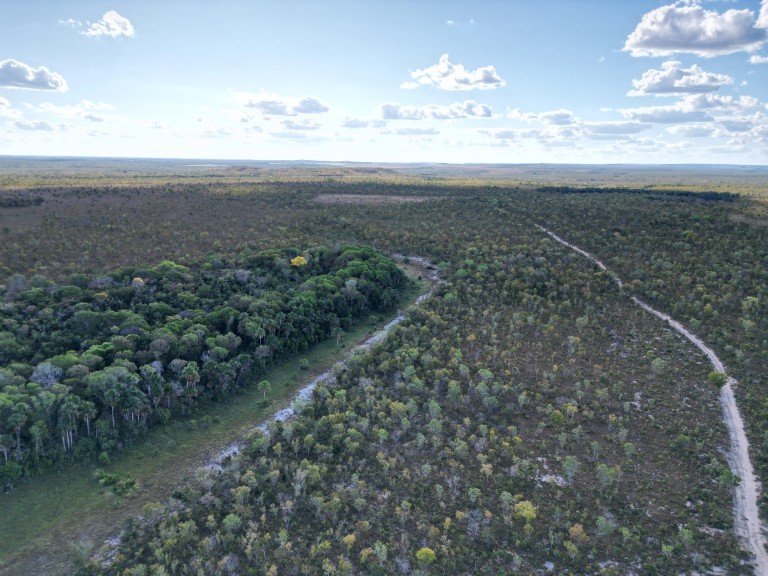 FAZENDA DE 2.570 HA POR R$ 6.000,00 POR HA
