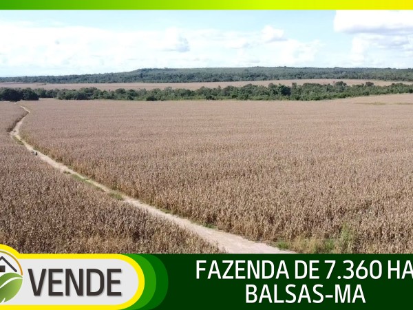 FAZENDA DE 7.360 HA COM MAIS DE 10 ANOS PARA PAGAR