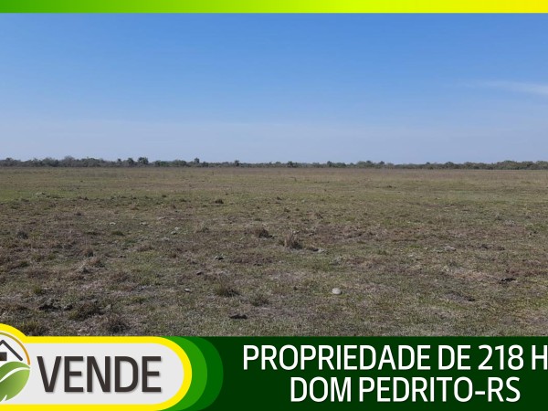 PROPRIEDADE DE 218 HA NO RS